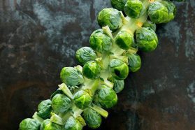 Sprout Stalk