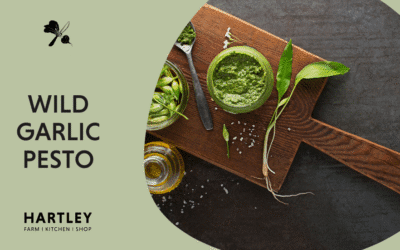 Wild Garlic Pesto