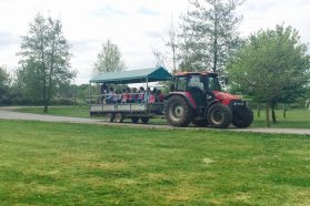 Tractor Rides
