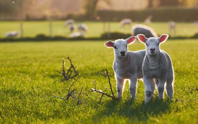 Easter Opening Hours