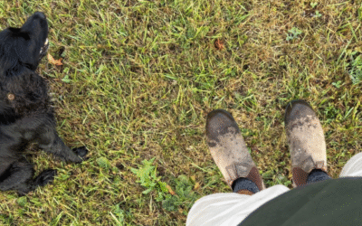 Autumn & Anniversaries at Hartley