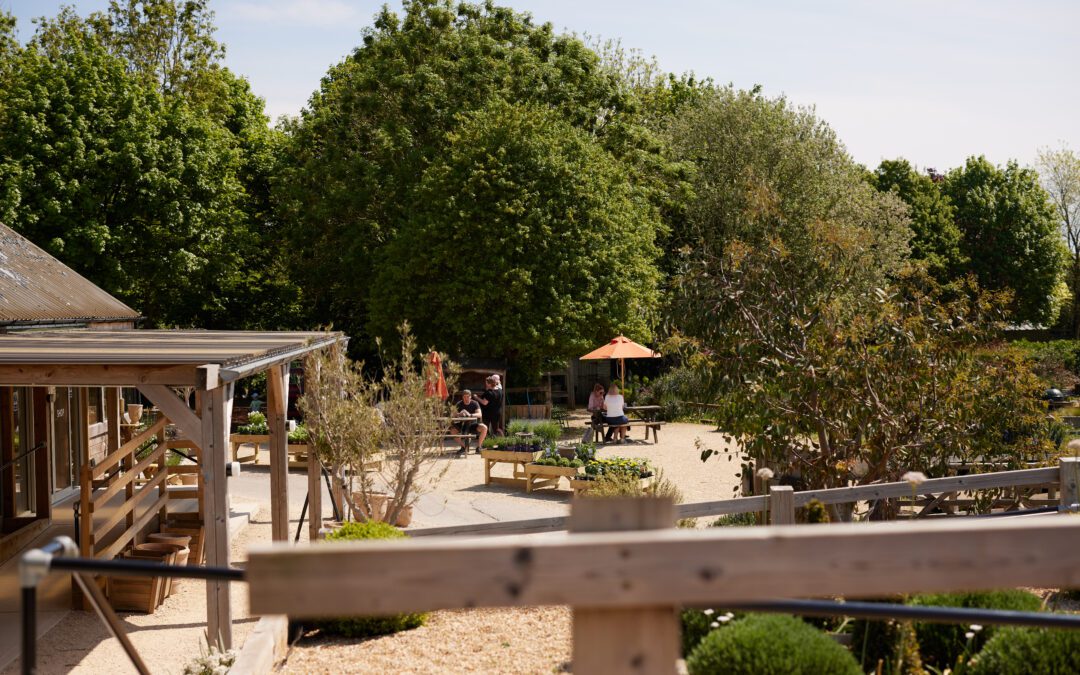 Summer scenes at Hartley Farm