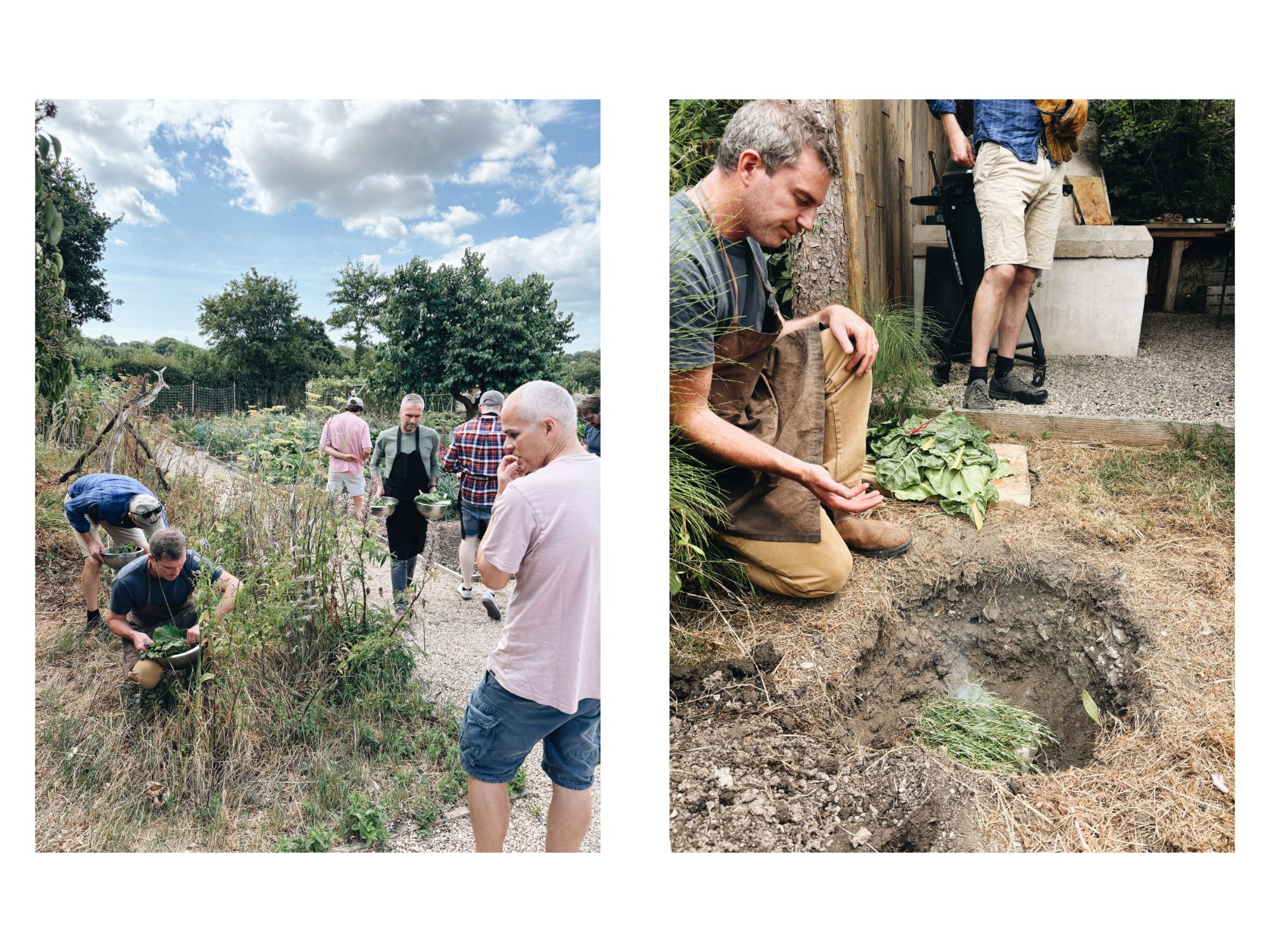 An outdoor foraging and cooking class in the countryside