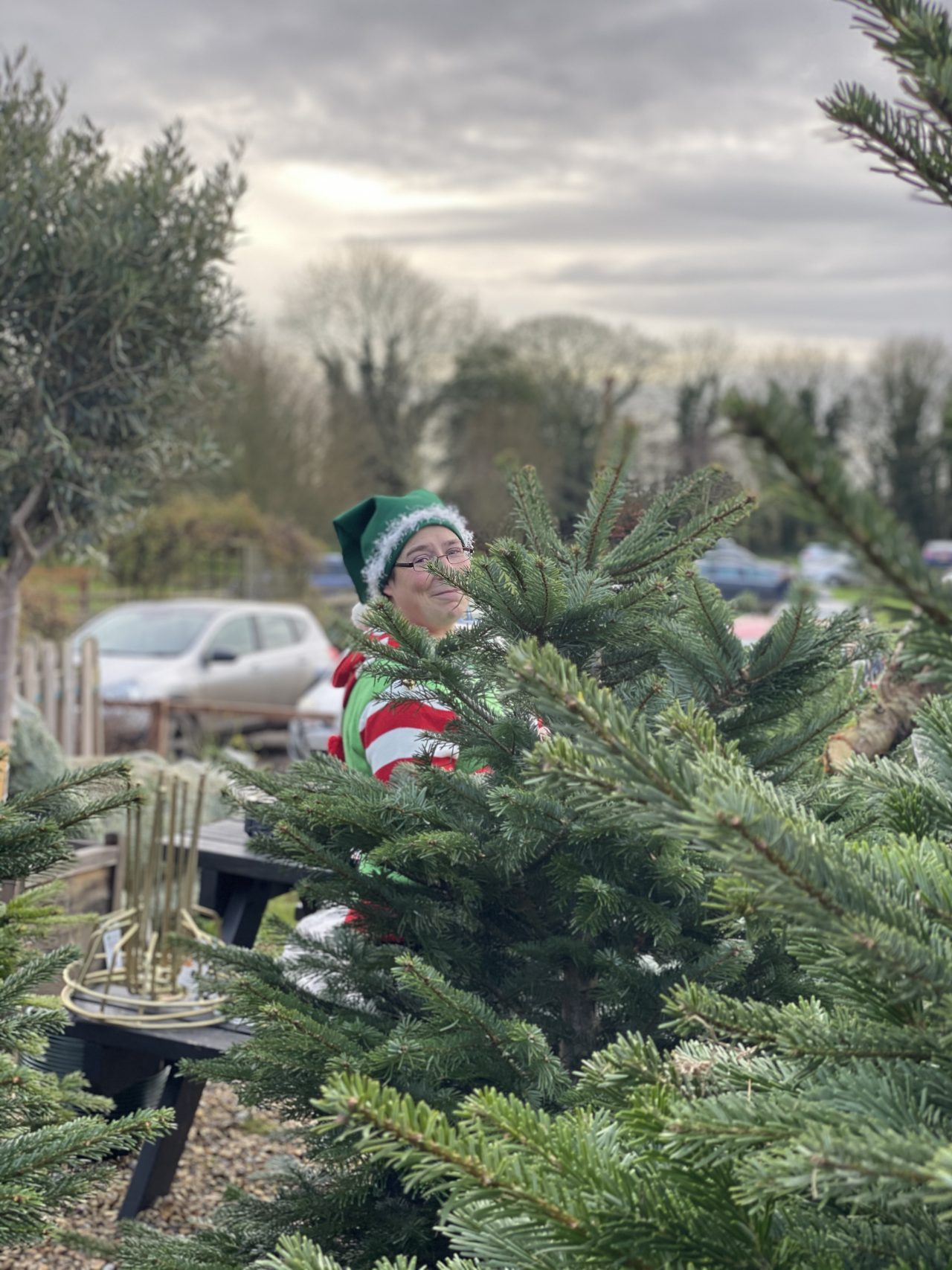 HARTLEY FARM CHRISTMAS MARKET 2021 Hartley Farm Shop and Kitchen