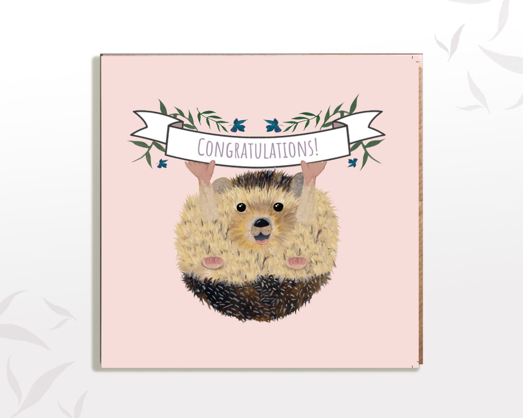 Congrats Hedgehog