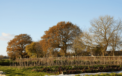 Savour the Season’s Warmth with some cozy cooking